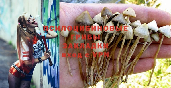 стаф Алексин