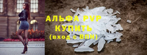 стаф Алексин